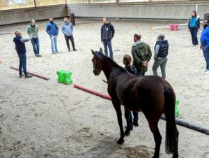 Pôle international du cheval de Deauville