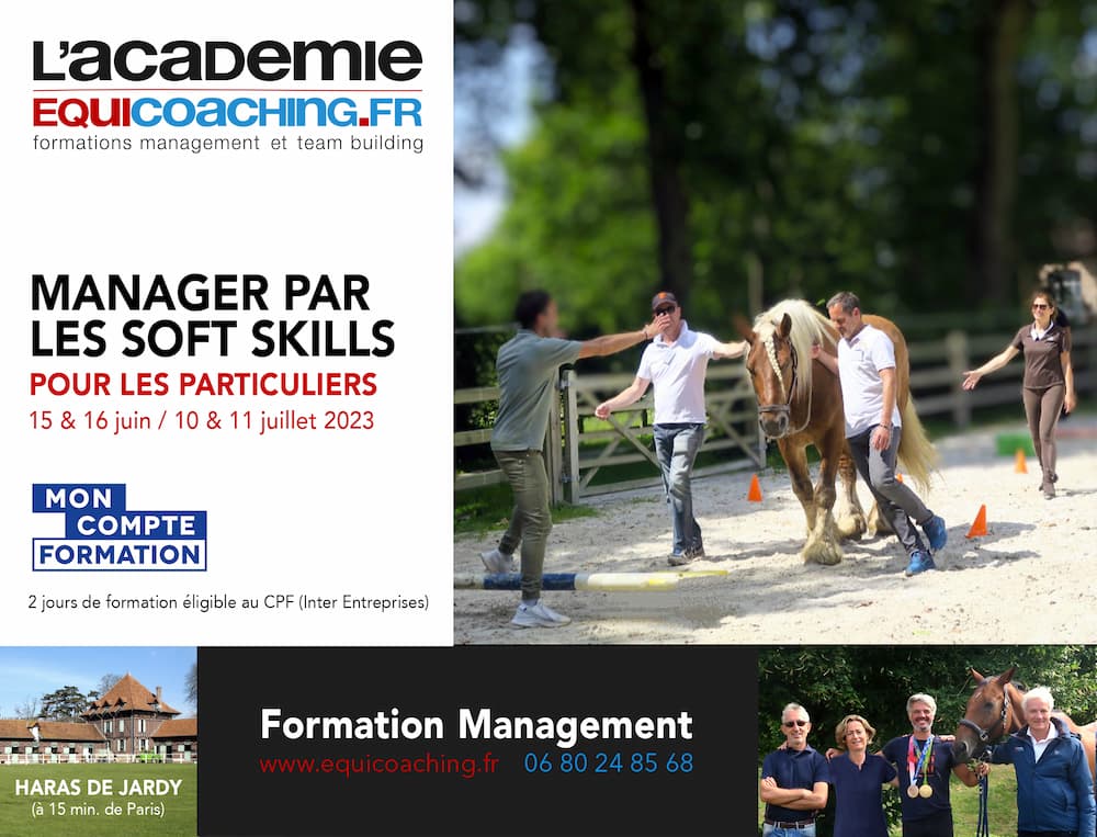manager par les soft skills formation pour les particuliers