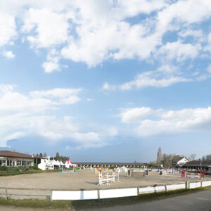 Haras des brulys académie equicoaching