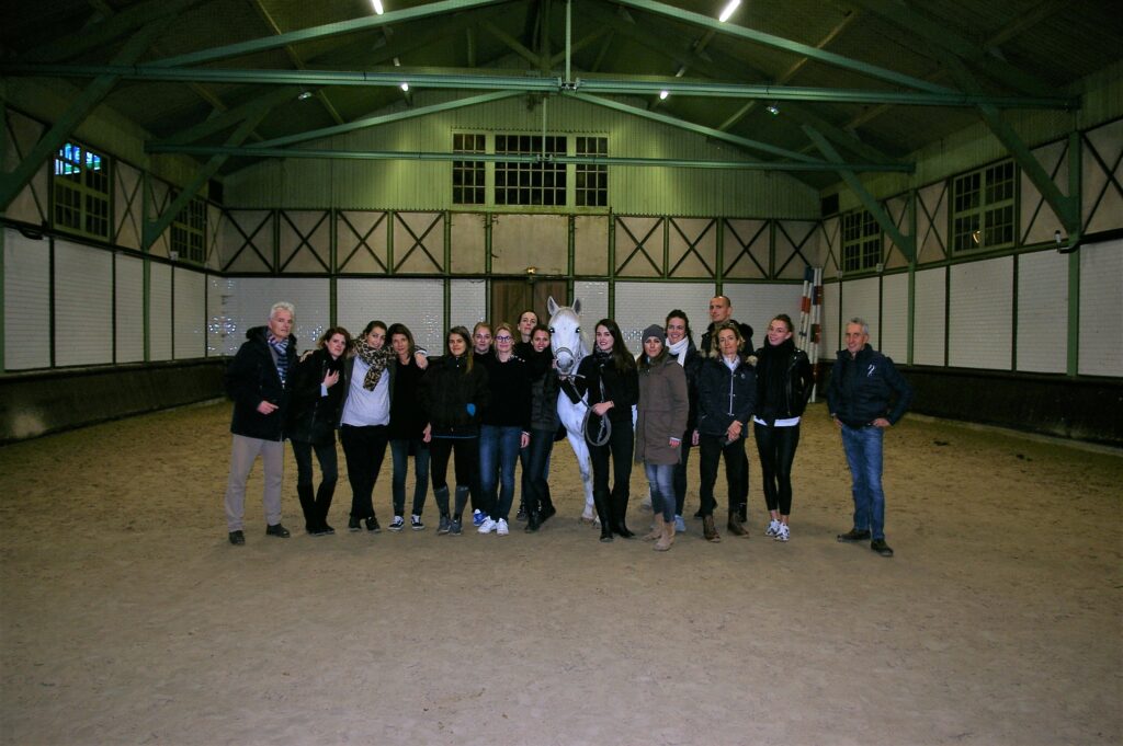 team building cheval