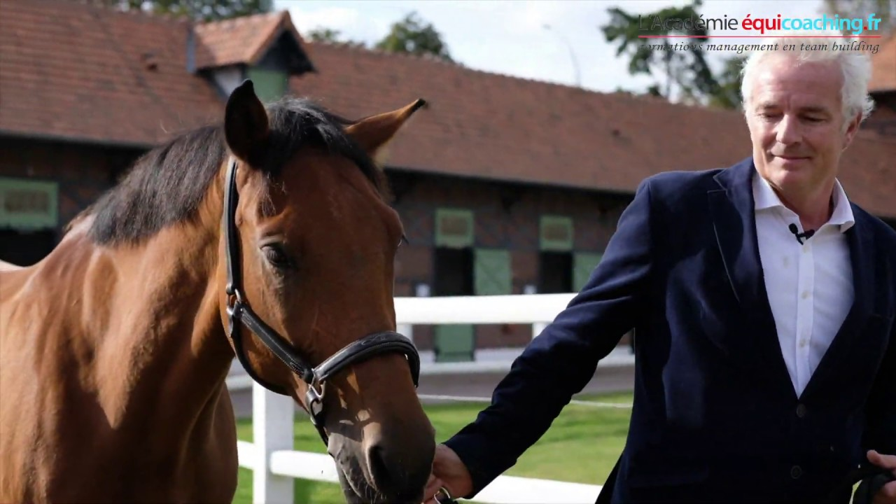 portrait d'arnaud camus