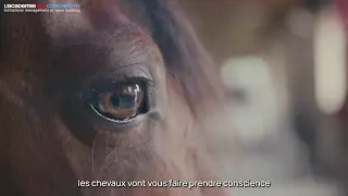 Équicoaching intergénérationnel