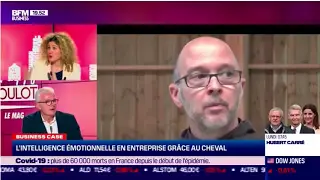 BFM BUSINESS - Le cheval, coach du manager
